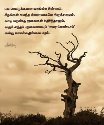 IMG_20250501_164807_806