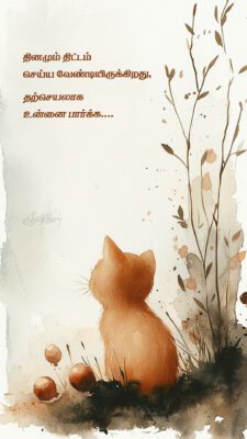 IMG_20250521_152848_829