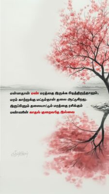 IMG_20250531_114955_161