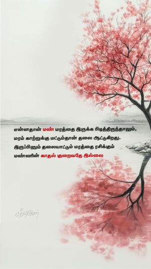 IMG_20250531_114955_161