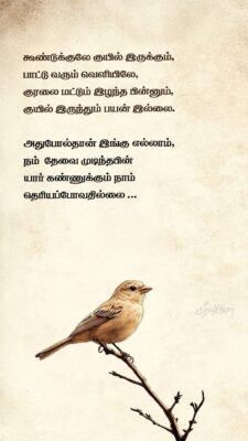 IMG_20250519_163550_785